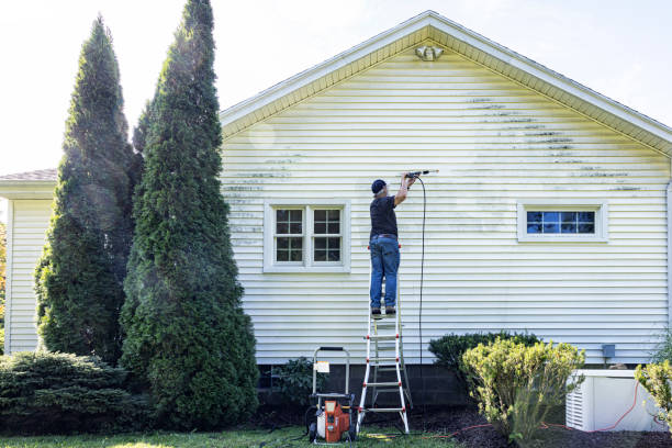 Deck Cleaning Services in Rosendale, WI