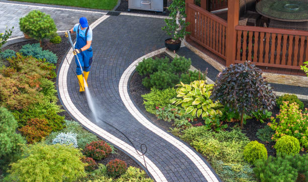 Best Local Pressure Washing Services  in Rosendale, WI